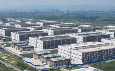 Muyuan Foods: El gigante chino que cría cerdos en rascacielos y qué nos enseña sobre tecnificación